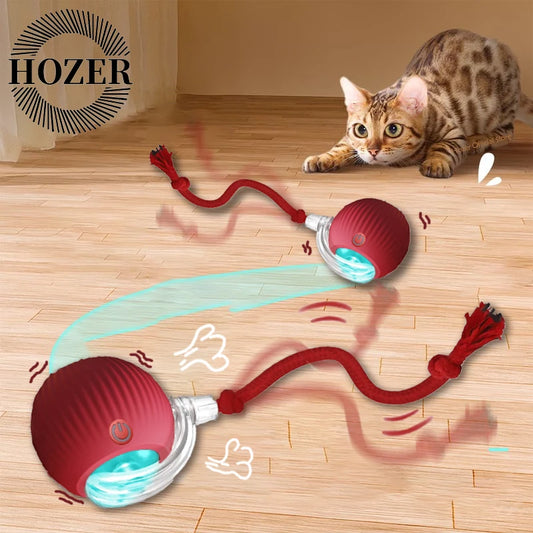 Cat Interactive Ball