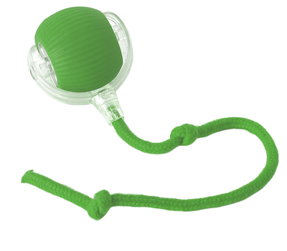 Cat Interactive Ball