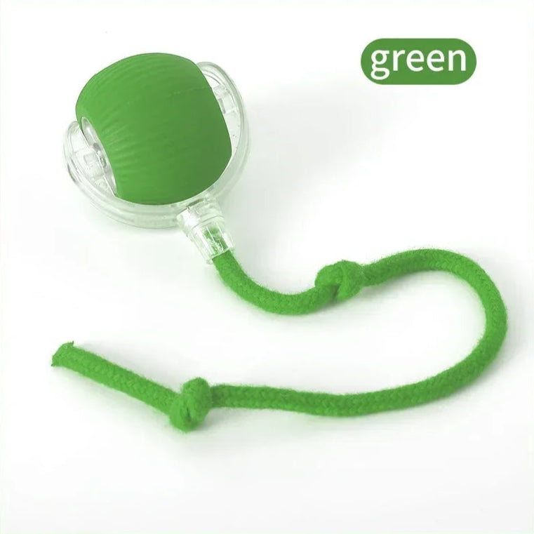 Cat Interactive Ball