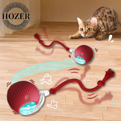 Cat Interactive Ball
