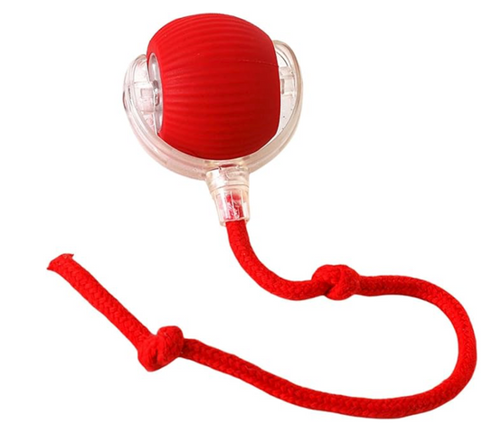 Cat Interactive Ball