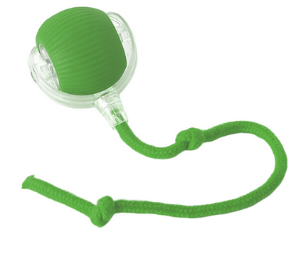 Cat Interactive Ball