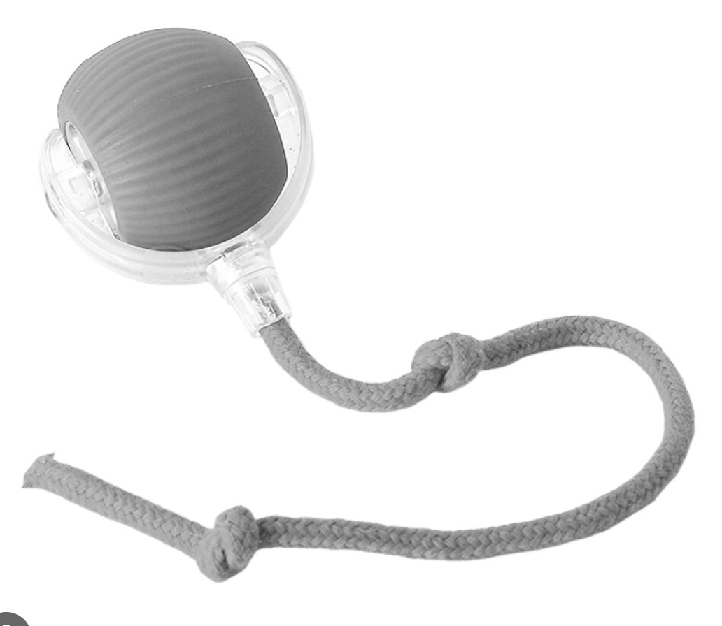 Cat Interactive Ball