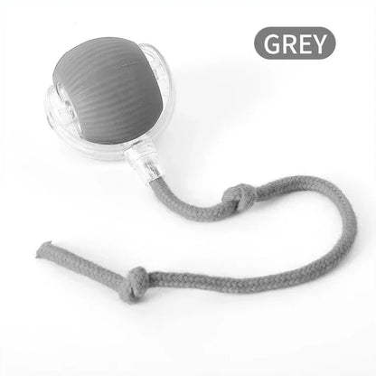 Cat Interactive Ball